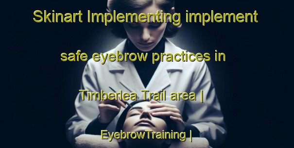 Skinart Implementing implement safe eyebrow practices in Timberlea Trail area | EyebrowTraining | EyebrowClasses | SkinartTraining-Canada